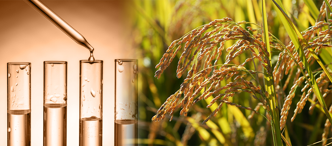 Technologies that Save Crops  Fine Chemicals LG Chem Life Sciences Securing an excellent competitive edge in fine chemical production